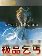 《极品乞丐》小说封面