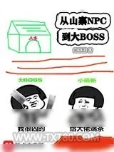 《从山寨npc到大BOSS》小说封面