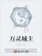《万灵城主》小说封面