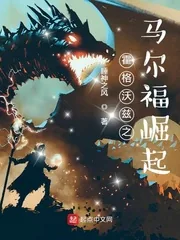 《霍格沃兹之马尔福崛起》小说封面