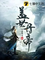 《盖世丹帝》小说封面