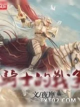 《骑士的战争》小说封面