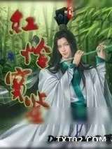《红怜宝鉴》小说封面