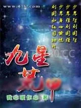 《九星荒甲》小说封面