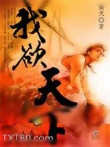 《我欲天下》小说封面