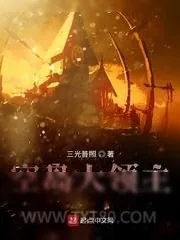 《空岛大领主》小说封面