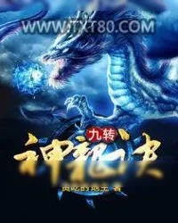 《九转神龙诀》小说封面