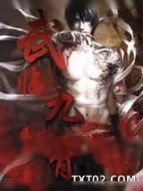 《武临九霄》小说封面