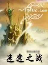 《迷途之战》小说封面