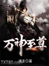 《万神至尊》小说封面