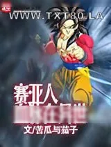 《赛亚人血脉在异世》小说封面