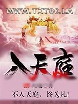 《入天庭》小说封面