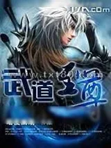 《武道至尊》小说封面