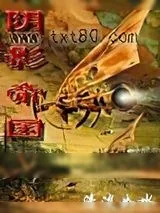《阴影帝国》小说封面