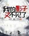 《我的影子又不见了》小说封面