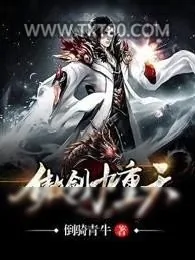 《傲剑九重天》小说封面