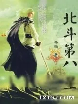 《北斗第八星》小说封面