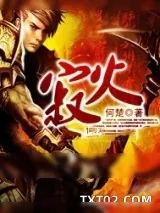 《寂火》小说封面
