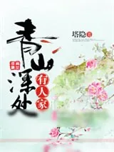 《十二仙刀》小说封面