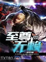 《至尊无赖》小说封面