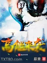 《高能来袭》小说封面