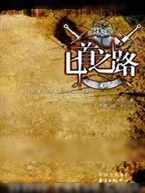 《时光之轮8·匕首之路（上下）》小说封面