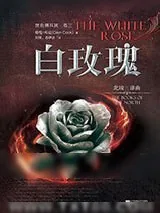《北境3：白玫瑰》小说封面