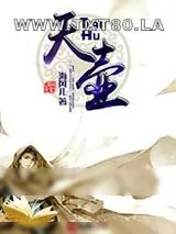 《天壶》小说封面