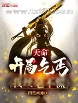 《天命：开局乞丐，我丝毫不慌》小说封面