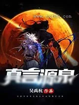 《真言源泉》小说封面