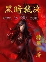 《黑暗裁决》小说封面