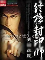 《终极封印师》小说封面