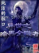 《异世之暗黑全职者》小说封面