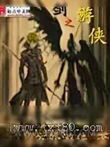 《剑之游侠》小说封面