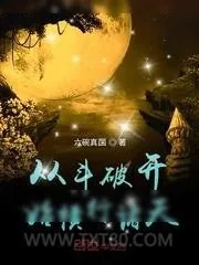 《从斗破开始横行诸天》小说封面