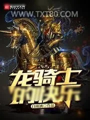 《龙骑士的快乐》小说封面