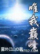 《唯我巅峰》小说封面