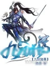 《九剑独尊》小说封面