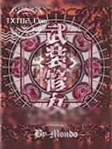 《武装修女》小说封面