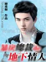 《暴戾总裁的地下情人》小说封面