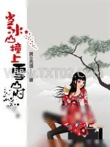 《当冰山撞上雪山时》小说封面