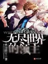 《无尽世界的领主》小说封面