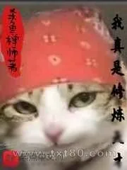 《第一套基本修炼法》小说封面