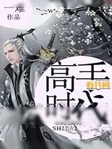《高手时代》小说封面