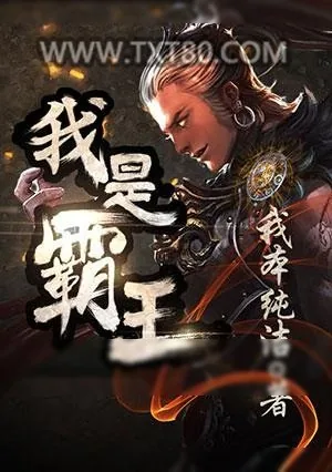 《我是霸王》小说封面