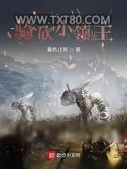 《骑砍小领主》小说封面