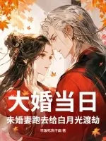 《大婚当日，未婚妻跑去给白月光渡劫》小说封面