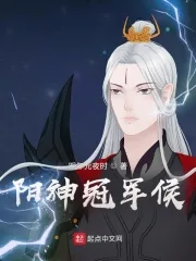 《阳神冠军侯》小说封面