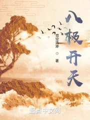 《八极开天》小说封面