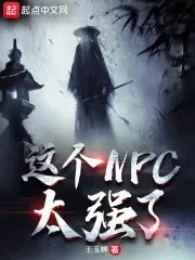 《这个NPC太强了》小说封面